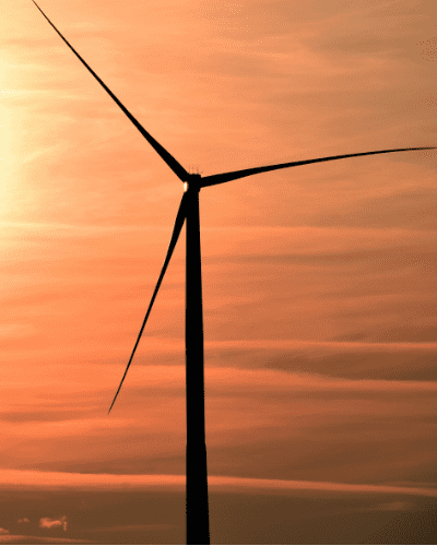 Guide for Florida Businesses Making Green Claims