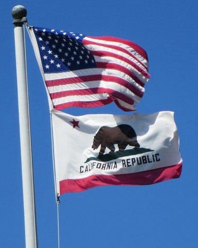 What Florida Businesses Need to Know About the CCPA